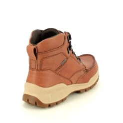 Ecco - Track 25 Womens Gtx 831703-01060 (tan Leather ) -Camel Favour ecco track 25 womens gtx 831703 01060 tan leather walking boots 1660055135 920170311 03